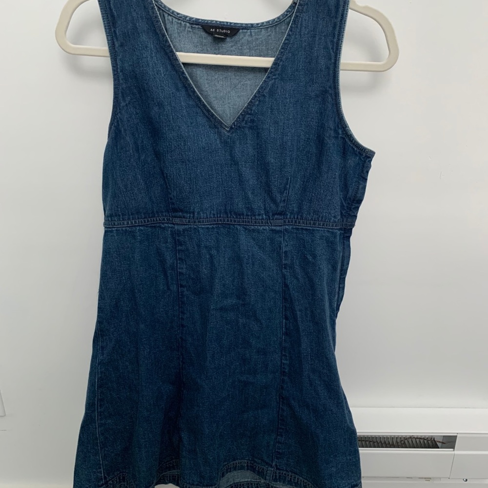 AE Studio Jean dress